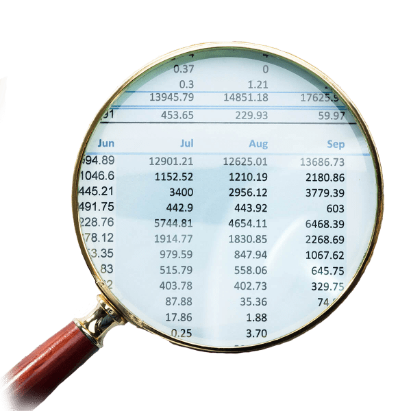 audit protection plan work
