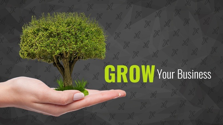 small business loan support
